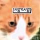 사람또사람