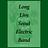 서울전자음악단 단독콘서트 'Long Live Seoul Electric Band'