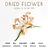 DRIED FLOWER @FF