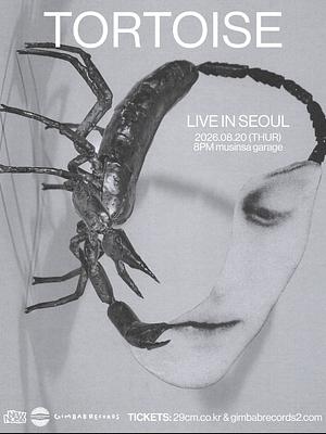 Tortoise Live in Seoul
