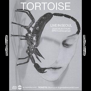 Tortoise Live in Seoul